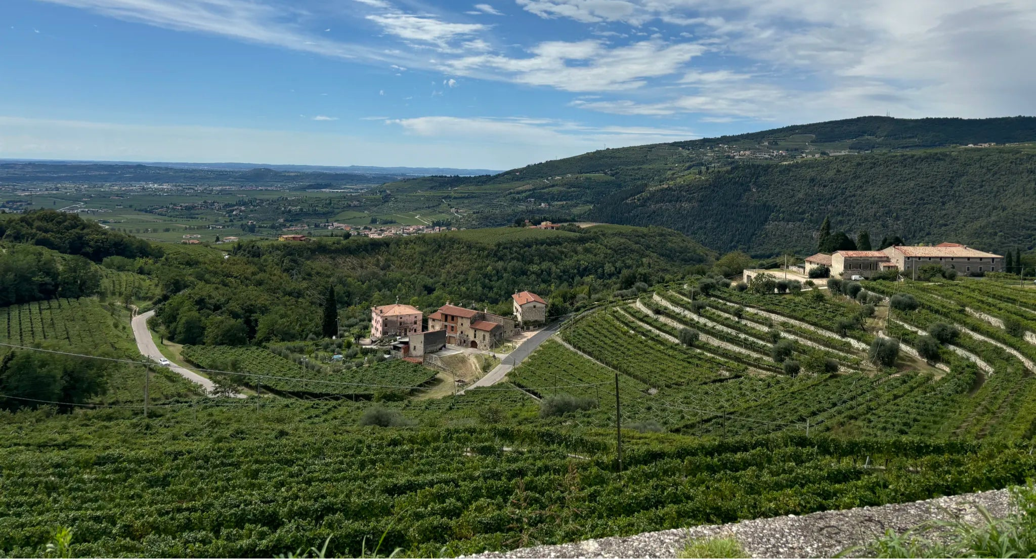 panorama_vapolicella_tenuta